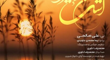 دانلود آلبوم اشک نیزار اثری از علی صالحی