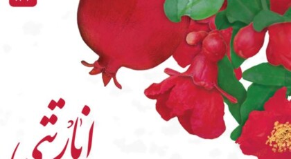 دانلود آلبوم انار تتی اثری از پرویز عبداللهی با کیفیت اصلی